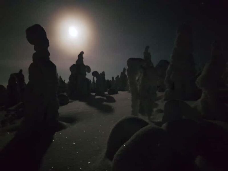 Riisitunturi National Park Private Snowshoe Adventure - FAQ