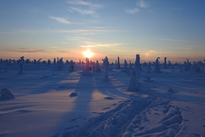 Riisitunturi National Park Snowshoe Experience - The Value of This Tour