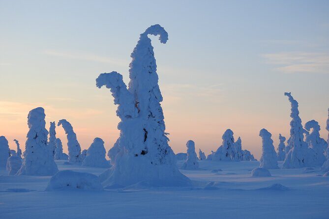 Riisitunturi National Park Snowshoe Experience - Practical Tips