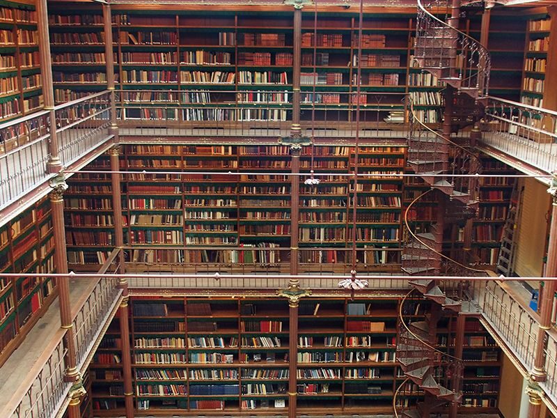 Rijksmuseum Guided Tour with Entry Ticket (12 guests max) - A Detailed Look at the Itinerary and Experience