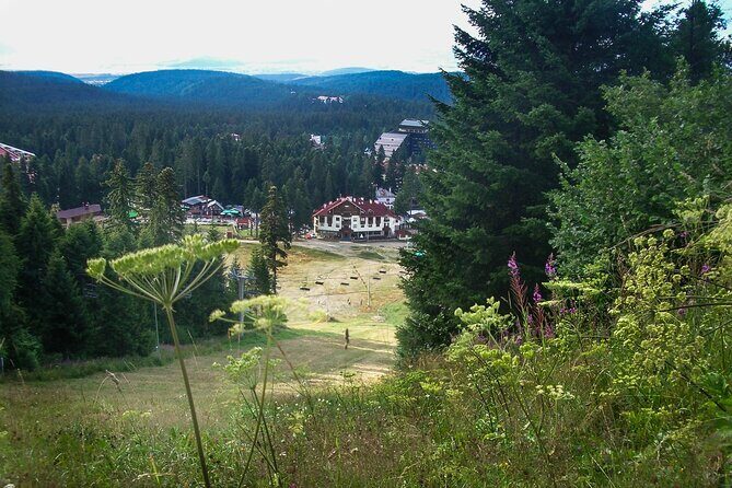 Rila Monastery & Thermae Full-Day Tour from Sofia - What Travelers Love Most