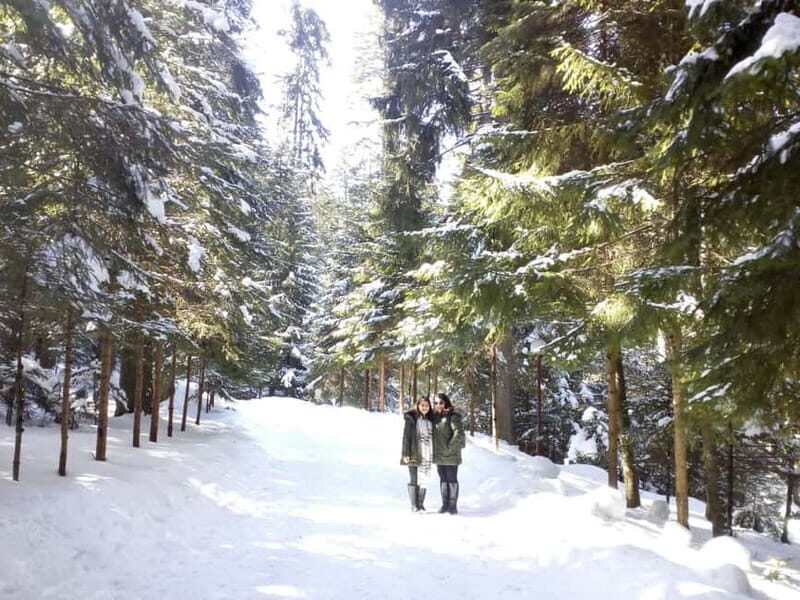 Rila Mountain Winter Day Trip - Exploring the Rila Mountain Winter Day Trip: An Honest Look