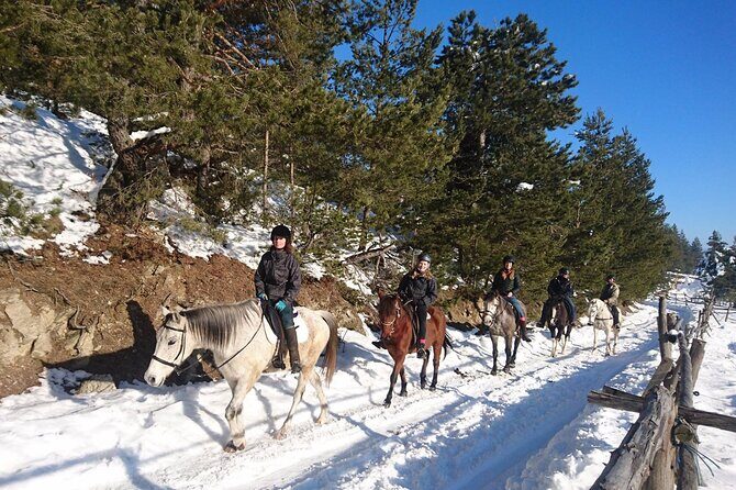 Rila National Park Horse Riding Adventure - The Experience From Past Travelers’ Perspectives