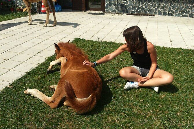 Rila National Park Horse Riding Adventure - Who Is This Tour Best For?