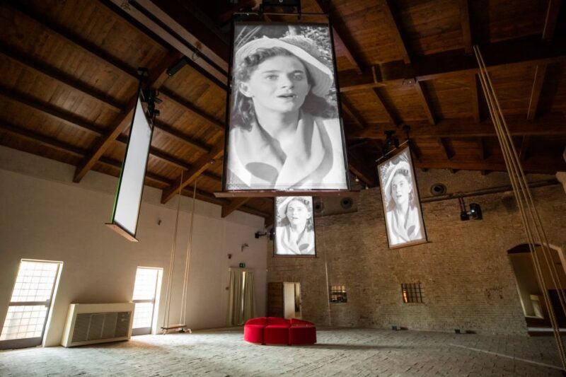 Rimini: Fellini Museum and Fulgor Palace Entry Ticket - Who Will Love This Tour?