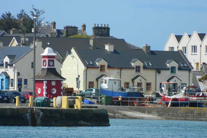 Ring of Kerry and Skellig Ring Private Tour - The Practical Side of the Tour