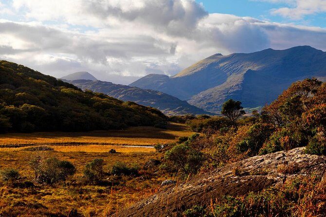 Ring of Kerry Day Tour from Cork: Including Killarney National Park - A Detailed Look at the Itinerary