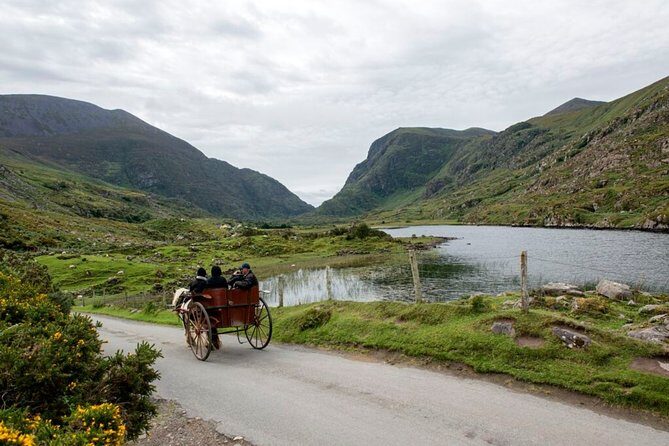 Ring of Kerry & Killarney tour departing from Cork City. Guided. Full Day. - What’s Included and What’s Not