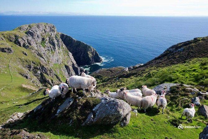 Ring of Kerry & Skellig Ring Private Day Tour - An In-Depth Look at the Ring of Kerry & Skellig Ring Private Tour