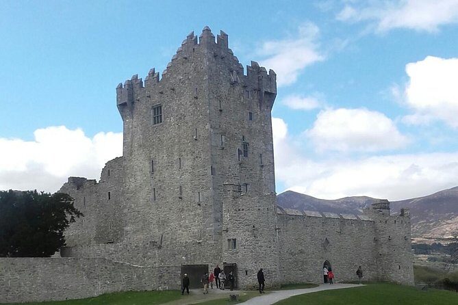 Ring of Kerry & Skellig Ring - Private Mini Bus Tour - Key Points