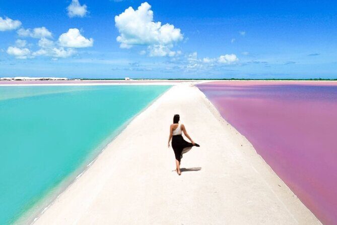 Rio Lagartos and Las Coloradas Day Tour from Cancun - Is the Price Worth It?