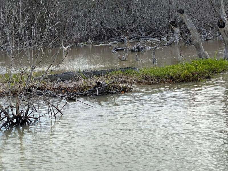 Rio Lagartos and Las Coloradas: EcoSafari Flamingo classic - Final Thoughts