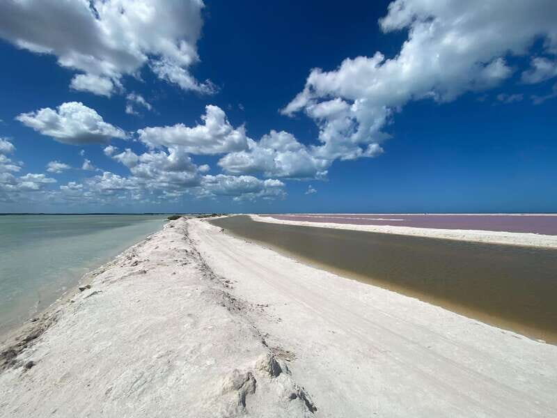 Rio Lagartos and Las Coloradas: EcoSafari Flamingo Luxury - Who Is This Tour Best For?