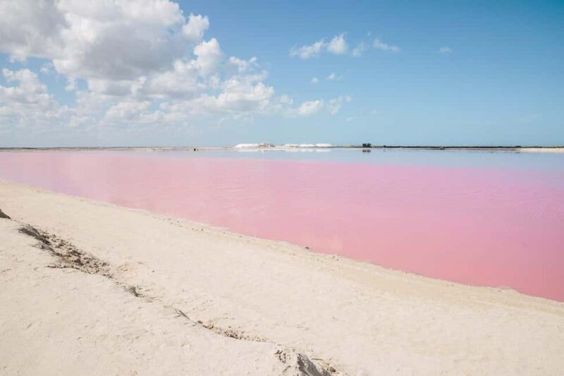 Río Lagartos and Las Coloradas: Natural Experience - Key Points