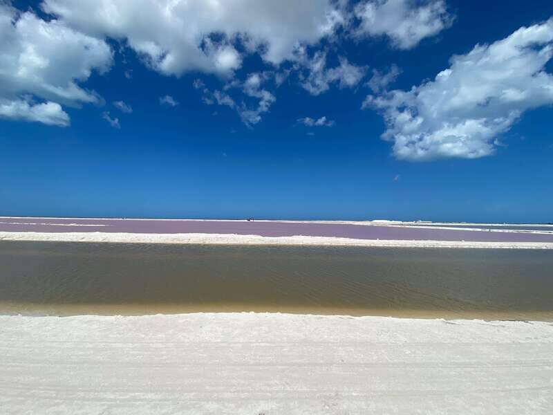 Río Lagartos and Las Coloradas: Natural Experience - What Is This Tour All About?