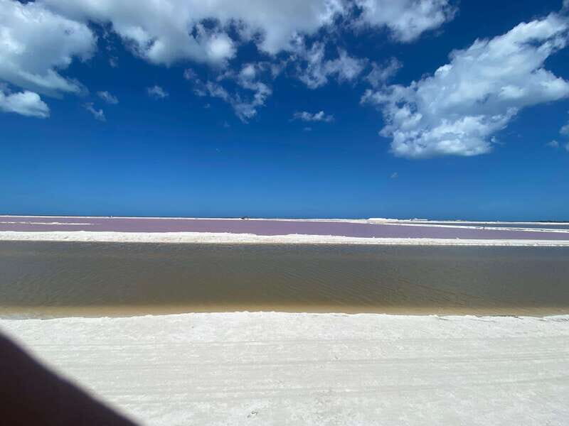Río Lagartos and Las Coloradas: Natural Experience - What Could Be Better?