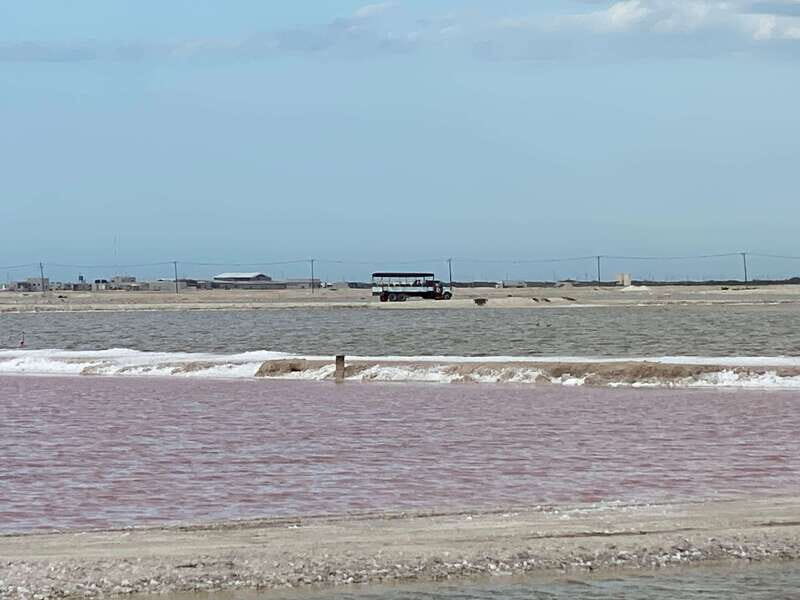 Río Lagartos and Las Coloradas: Natural Experience - Who Is This Tour Perfect For?