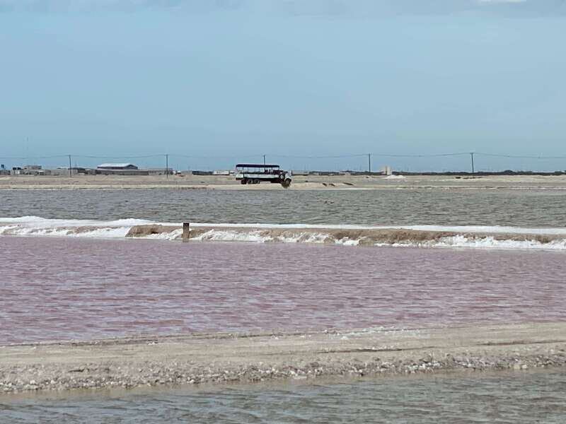 Río Lagartos and Las Coloradas: Natural Experience - FAQ