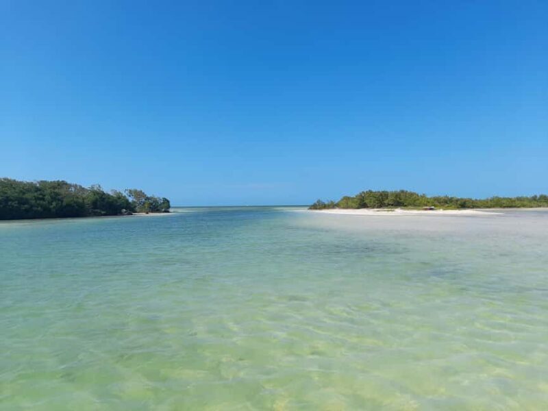 Rio Lagartos and San Felipe: Cerritos Island, adventure tour and Mayan culture. - Rio Lagartos and San Felipe: Cerritos Island, adventure tour and Mayan culture