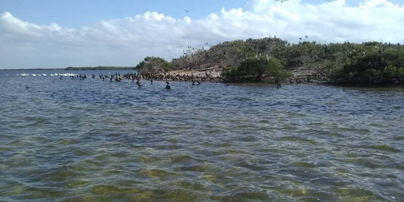 Rio Lagartos and San Felipe: Cerritos Island, adventure tour and Mayan culture. - Who Should Consider This Tour?