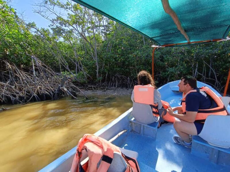 Rio Lagartos: Tour and Gastronomy - Practical Details and Tips