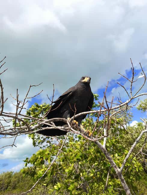 Rio Lagartos: Tour and Gastronomy - FAQ