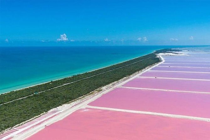 Río Lagartos y Las Coloradas Private Tour from Merida - Las Coloradas: The Pink Salt Ponds