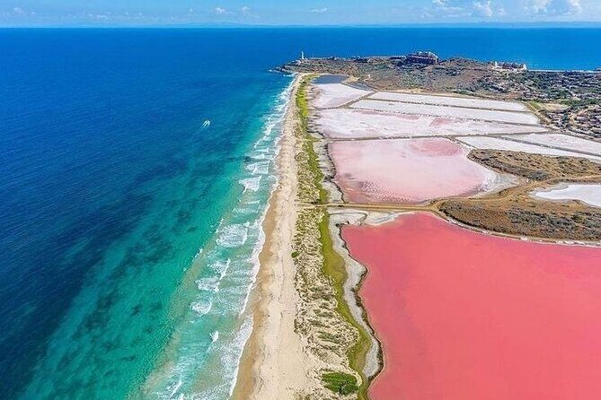 Rio Lizards and Las Coloradas Ecosafari Maya Natural Experience - Is This Tour Right for You?