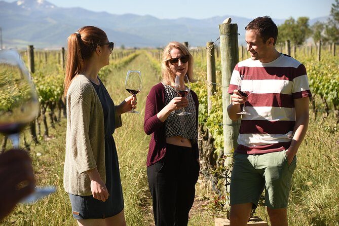 Rioja Alta and Rioja Alavesa Wine Tour - The Experience: What You Can Expect
