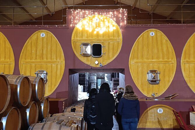 Rioja Day Tour: Explore Three Wineries with Tastings - Frequently Asked Questions