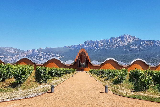 Rioja Wine Route with winery owner - The Experience in Detail