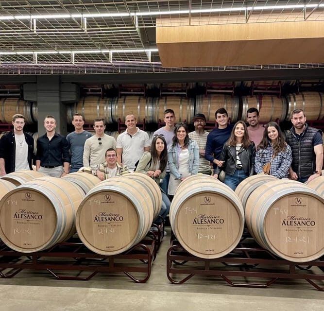 Rioja: Wine tasting and sampling at the Martínez Alesanco family winery - What You Can Expect from the Experience