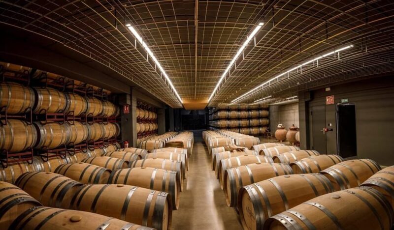 Rioja: Wine tasting and sampling at the Martínez Alesanco family winery - The Wine & Food Pairings