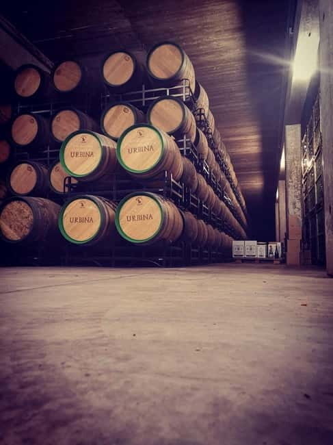 Rioja Wine Tour: 3 Wineries & Pintxos Lunch - The Experience at Each Winery