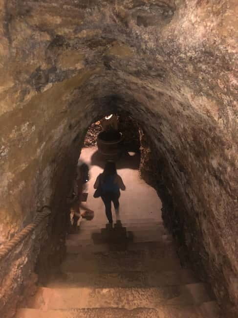 Rioja Wine Tour: 3 Wineries & Pintxos Lunch - Who Would Love This?