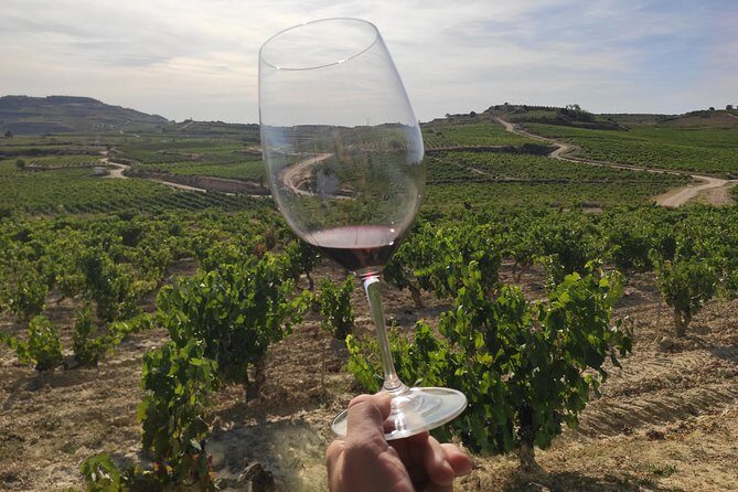 Rioja Wine Tour: Winery & Traditional Lunch From Pamplona - Key Points