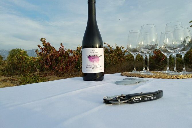 Rioja Wine Tour: Winery & Traditional Lunch From Pamplona - Who Is This Tour Best Suited For?