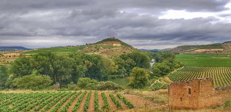 RIOJA: WINE TOUR WITH A WINERY OWNER - Key Points