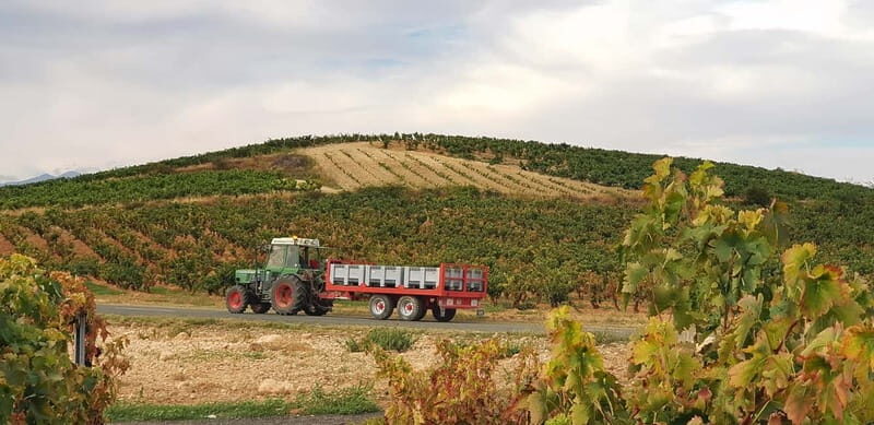 RIOJA: WINE TOUR WITH A WINERY OWNER - An In-Depth Look at the Rioja Wine Tour with a Winery Owner