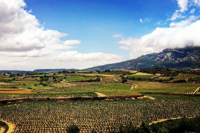 Rioja's Top wines tasting private tour - An In-Depth Look at the Rioja Private Tour