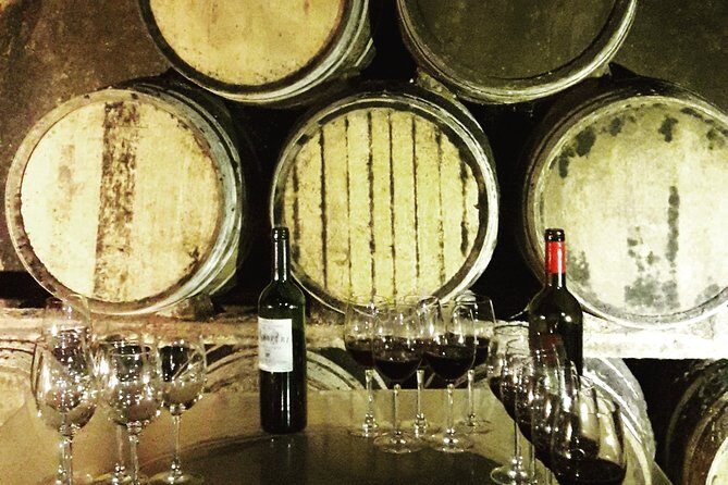 Rioja's Top wines tasting private tour - Who Would Love This Tour?