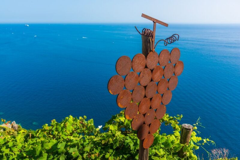 Riomaggiore: Vineyard & Wine Cellar Tour with Wine Tasting - Key Points