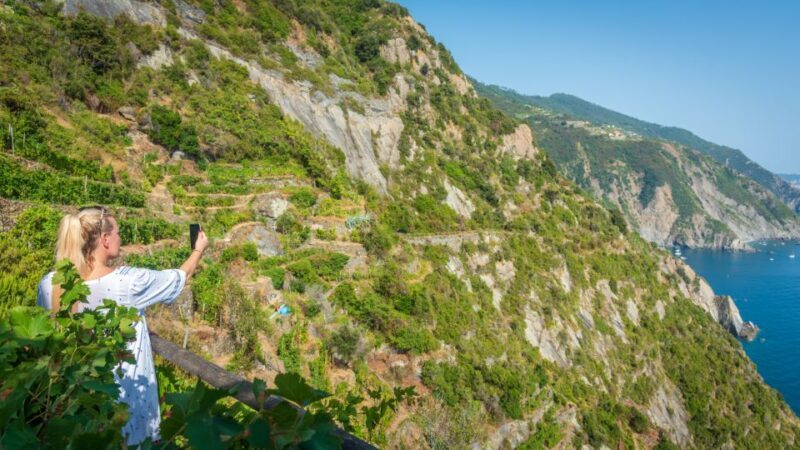 Riomaggiore: Vineyard & Wine Cellar Tour with Wine Tasting - The Experience in Detail