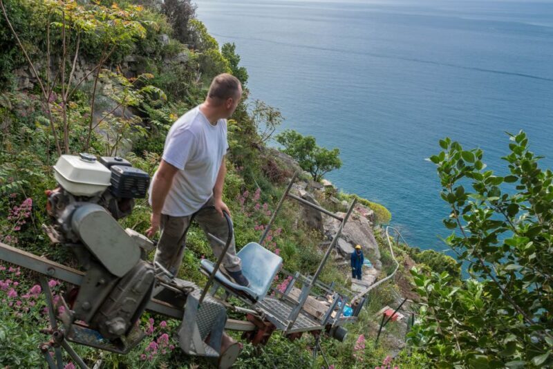 Riomaggiore: Vineyard & Wine Cellar Tour with Wine Tasting - Final Thoughts