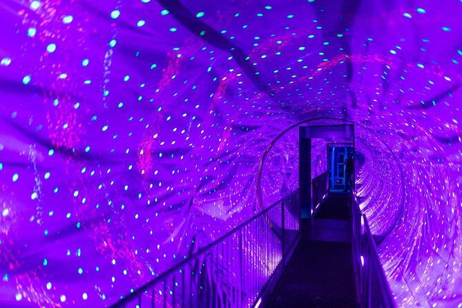 Ripley's Believe It or Not! Amsterdam Admission Ticket - The Experience: Pros and Cons