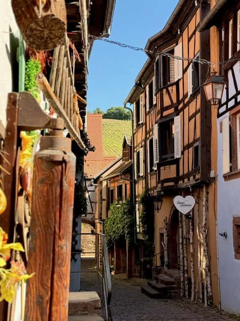 Riquewihr: the pearl of the vineyards with a local guide and tastings - The Experience from the Inside