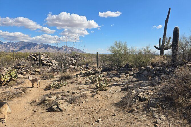 Ritz Dove Mountain and Totolita Hiking - FAQs