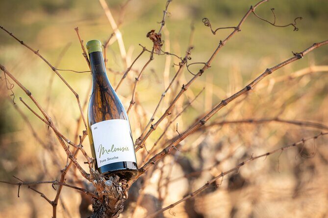 Rivaltes  Secrets of the Terroir and Tasting of Unique Wines! - FAQs