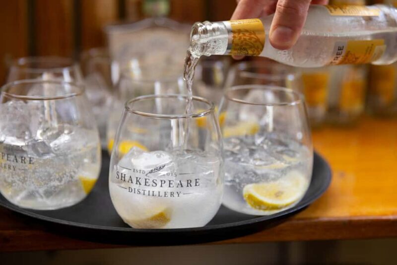 River Avon Gin Tasting Cruise - The View and Atmosphere