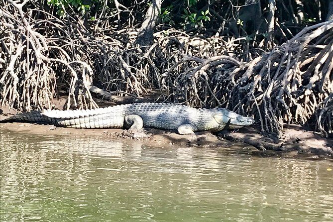 River Cruise - What Do Travelers Say?